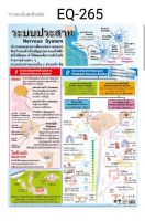 ระบบประสาท EQ 265 โปสเตอร์สื่อการสอน หุ้มพลาสติก ขนาด 50 * 70 cm