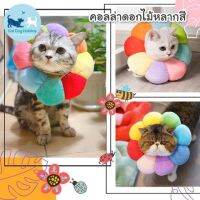 CatHoliday คอลล่าร์ดอกไม้หลากสี คอลล่าร์สัตว์เลี้ยง กันเลียสัตว์เลี้ยง