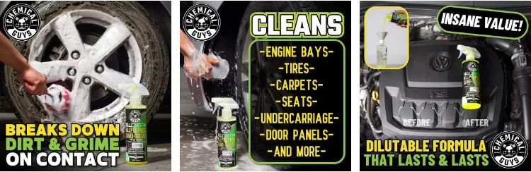 Chemical Guys Total Interior Cleaner and Protectant (16 Fl. Oz