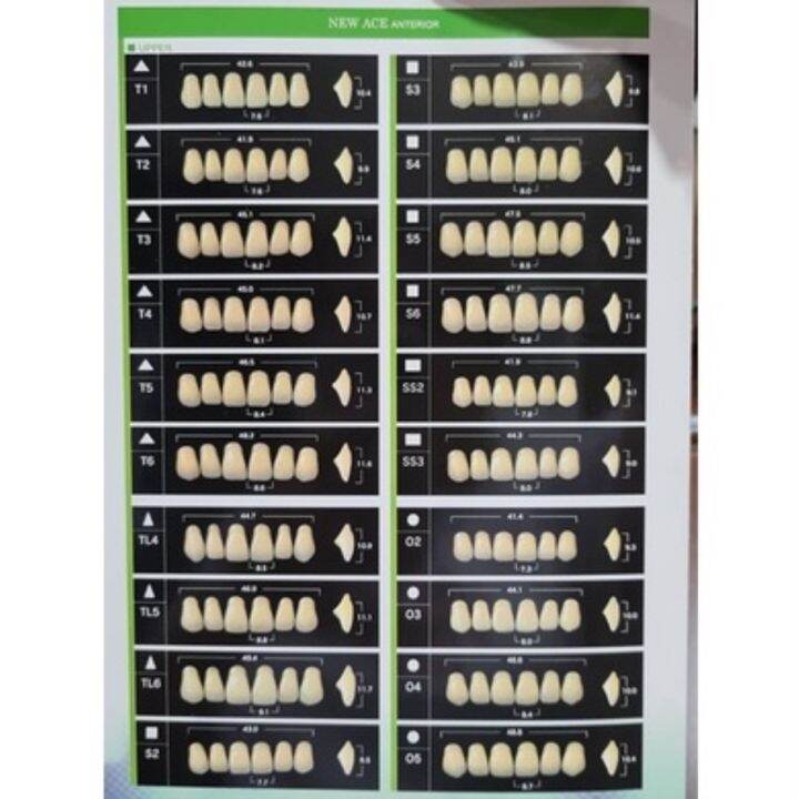 Yamahachi Acrylic Resin Teeth New Ace (Anterior and Posterior) Lazada PH