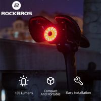 Rockbros Tail Light Intelligent USB Charge Brake Flashlight MTB Bike Night Warning Lights Cycling Accessories WR05