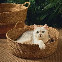 Pure Manual Cat Bed House หวายทอ Four Seasons Nest Cat Scratch Board ทั่วไป Dandelion ทอ Cool Home Cat อุปกรณ์เสริม