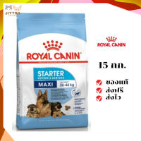 ?ส่งฟรี Royal Canin ลูกสุนัข สูตร Maxi Starter เม็ดใหญ่  ขนาด 15 กิโลกรัม เก็บเงินปลายทาง ✨