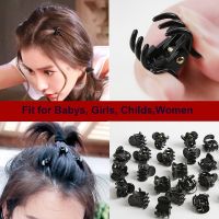 6-50Pcs 1-3cm Small Black Styling Tool Hair Claw Girls Plastic Hairpin Safe Hair Crab Clip For Women headband Hair Accessories