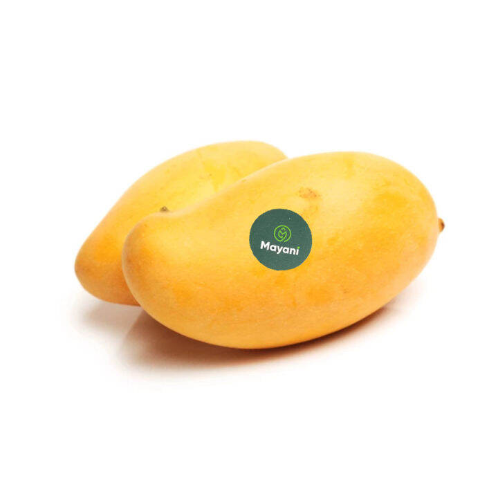 Carabao Mangoes [Ripe] (500600g) by Mayani Lazada PH