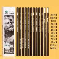 Lele Pencil】3B ปากกาสำหรับร่างภาพ2B HB B 4B มืออาชีพ12ชิ้น/กล่อง,5B 6B 7B 8B 12B ศิลปะวาด14B ดินสอตะกั่วไม้แกนกราไฟท์เฉพาะ