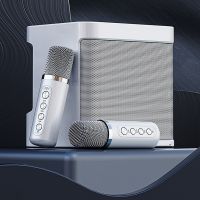 YS-203 Speaker Microphone Set Home Singing Equipment Wireless Bluetooth KTV Karaoke Machine Voice Changer