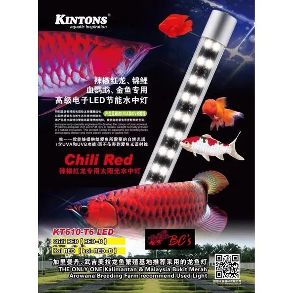 Kintons Kt Led Arowana Tanning Light White White Lazada Ph