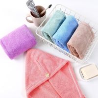 Coral velvet dry hair cap quick dry female absorbent head towel shampoo microfiber strong suction bath cap Towels