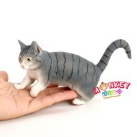 Monkey Toys - โมเดลสัตว์ Cat แมว เทา ขนาด 17.50 CM (จากหาดใหญ่)