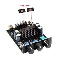 YJ-100B TPA3116X2 Digital Audio Amplifier Board 100W+100W High-Power Amplifier Board 20Hz-20KHz DC18V-24V