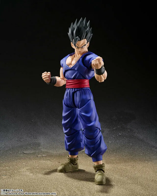 S.H. Figuarts Turles Review - DBZ Figures.com