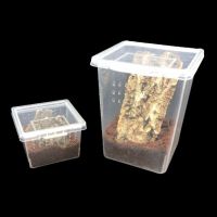 ZXCE 1PC Multifunction Plastic Household Transparent for Scorpion Spider Ants Hatching Tank Lizard Living Box Reptile Habitat Insect Feeding Box