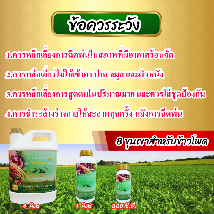 พร้อมส่ง-8ขุนเขา-ข้าวโพด-4-ลิตร-อาหารเสริมพืช-ฮอร์โมนข้าวโพด-อะมิโน-ปุ๋ยฉีดทางใบ-ยาฉีดข้าวโพด-ฮอร์โมน-ปุ๋ยฉีดข้าวโพด