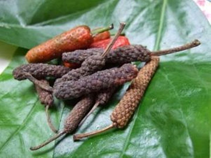 ขายส่ง-500-กรัม-สมุนไพรดีปลีอบแห้ง-long-pepper-ชื่ออื่นว่า-ดีปลีเชือก-ประดงข้อ-พิษพญาไฟ-ผักพื้นบ้านภาคใต้-ออร์แกนิค-สมุนไพรพื้นบ้าน