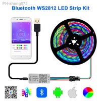 DC5V WS2812B Individually Addressable RGB Led Strip Light SP110E Bluetooth Controller USB Cable Kit 30/60/144Led Waterproof IP65