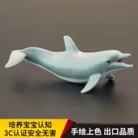 Solid childrens simulation marine animal toy model bottlenose dolphin pointed mouth bottle nose cognitive gift decoration