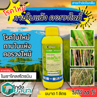 ? เซลติมา (ไพราโคลสโตรบิน) ขนาด 1ลิตร ป้องกันกำจัดโรคใบไหม้แผลใหญ่