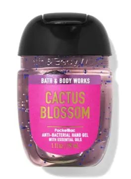 Cactus Blossom  Bath & Body Works