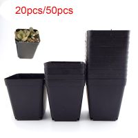 8x7x5 CM Plant Pot Plastic Flower Pots Creative Small Square Pots for Succulent Plants Garden Decor Black