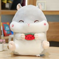 Sleeping Pillow on Bed Super Cute Girls Doll Cute Hamster Plush Toy Squirrel Pillow Doll Ragdoll Mouse