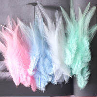 Pink Rooster Feather Natural Chicken Feathers Decor Fly Tying อุปกรณ์เสริม Crafts for Needlework and Handicraft Dersses Musilm-final1