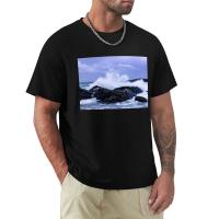 Stormy Waves T-Shirt Tees Black T Shirts Sweat Shirts T-Shirt Short Mens Funny T Shirts