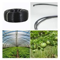 50m Plastic Steel Wire Agriculture Greenhouse Pressed Film String Shading Net Garden Plant Climbing Vine Holder Supporting Line