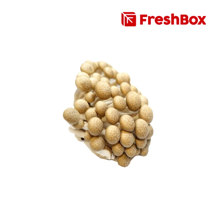 Jamur Shimeji Coklat 150 gr FreshBox Lazada Indonesia