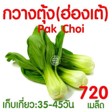 เม็ดผักกวางตุ้งดอก ราคาถูก ซื้อออนไลน์ที่ - ก.ค. 2023 | Lazada.Co.Th