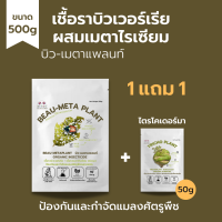 บิวเวอร์เรีย ผสม เมธาไรเซียม ซื้อ1แถม1 (500g) กำจัดแมลงศัตรูพืชทุกชนิด เพาะเชื้อจากห้องLAB100% ปลอดภัยต่อผู้ใช้และสัตว์เลี้ยง