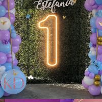 Custom Number 1 Neon Signs Wall Decor LED Light Up Signs for Bedroom Wedding Decor First Birthday Party Numbers Lamp Kids Gift