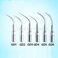 6ชิ้นล็อต Ultrasonic ทันตกรรม scaler ประเภท GD1 GD2 GD3 GD4 GD6 GD6ใช้งานร่วมกับ Sate lecgnatus ทันตกรรม Lab อุปกรณ์เครื่องมือ