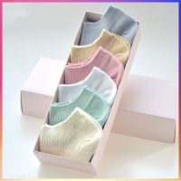 {Socks Shop} ถุงเท้าถุงเท้าผ้าฝ้ายของผู้หญิงผู้หญิง,สีทึบถุงเท้าสีดำล้วนถุงเท้าข้อต่ำกล่องกันลื่น6คู่