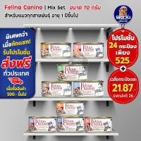 Felina Canio- อาหารแมวกระป๋อง ขนาด 85 กรัม (ยกลัง 24 กระป๋อง)