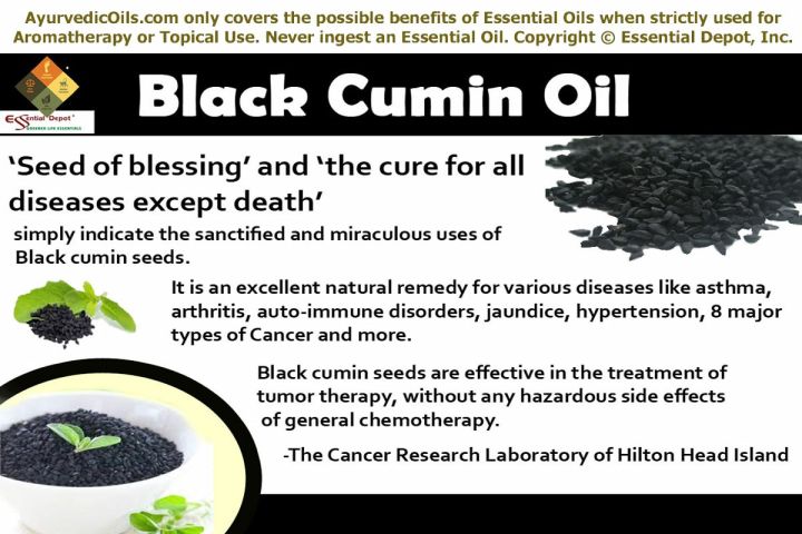 น้ำมันเมล็ดยี่หร่าดำ-black-cumin-seed-oil-1000-mg-60-softgels-now-foods