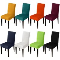 【CW】 28 Colors For Choice Universal Size Chair Cover Cheap Big Elasticity Seat Protector Seat Case Chair Covers For Hotel Living Room