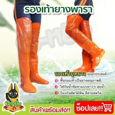 รองเท้าบูทยางพารา รองเท้าบูทส้มกันน้ำ บูทยาว ลุยโคลน ลุยน้ำ รองเท้าทำนา ทำสวน บูทยาว 25-27 นิ้ว