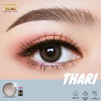 Thari Gray ✨Wink Lens ✨ สีเทา มินิ เทา ขอบฟุ้ง ค่าสายตา สายตาสั้น แฟชั่น สายตาปกติ Contact Lens มินิ บิ๊กอาย