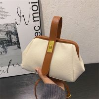 High-end bag for women 2023 summer new style trendy versatile crossbody niche foreign fashion portable doctor