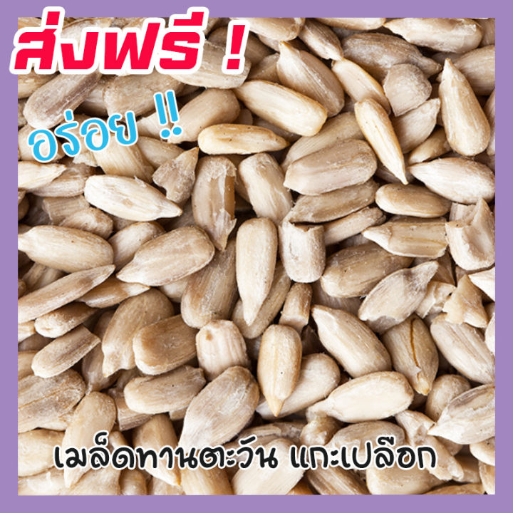 ส่งฟรี-ซื้อ-1-ฟรี-1-เมล็ดทานตะวันแกะเปลือก-sunflower-seeds-roasted-unsalted-ขนาด-500กรัม-ฟรี-100กรัม-เม็ดทานตะวัน-ทานตะวันอบ-ขนมกินเล่นถูกๆ-ขนมกินเล่น-อาหารพร้อมทาน-ขนมที่ดังใน-tiktok-ขนมถูกๆส่งฟรี-ธั