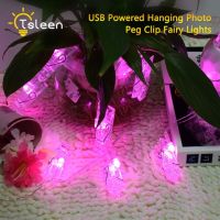 คลิปหนีบรูปภาพสาย Led หลอดไฟแขวนแบบมีที่หนีบโคมไฟที่สว่างจ้าคลิป20/40หลากสีให้ความอบอุ่นในร่มตกแต่งงานปาร์ตี้งานแต่งงานให้ความอบอุ่น