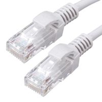 Link Cable CAT6 สายแลน เข้าหัว สำเร็จรูป 30เมตร