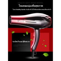 ไดร์เป่าผม SALON TOOL รุ่น 8080 ไดร์เป่าผม พกพา เครื่องเป่าผม DLY ไดร์เป่าผม ร้อนเร็ว ลมแรง