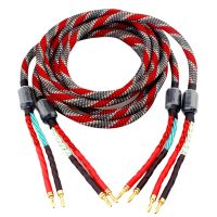 Xangsane Oxygen-Free Copper (OFC) Audio Speaker Cable HI-FI High-End