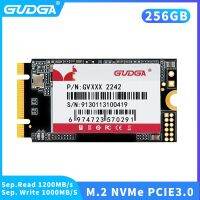 GUDGA M2 NVMe 256GB SSD PCI-e Gen3.0x2สัญญาณ2242 NVMe Ssd โซลิดสเตทไดรฟ์ภายใน Hdd 256Gb สำหรับ ThinkPad L480 T480แล็ปท็อป