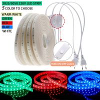 Nastro Led 220V 2835 5050 Striscia Led Impermeabile Bianco Caldo Rosso Blu Verde Luci A Led ต่อ La Decorazione A Stanza 1M 2M 5M 10M Ciabatta