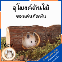 【Small Pet Club】หลุมต้นไม้ ถ้ำ ไม้ ท่อ ไม้เบิร์ชธรรมชาติ จัดสวน ตกแต่ง ที่พักพิง อุปกรณ์สัตว์เลี้ยงขนาดเล็ก หนูแฮมสเตอร์ กระต่าย กระรอก ชินชิล่า หนูตะเภา หมีสีทอง น้ำผึ้ง กระเป๋าร่อน ซีเรียหนู หนูเจอร์บิล