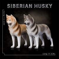 【CW】HiTwo Simulation Husky Dog Plastic Animal Model PVC Statue Educational Kids Toy Desktop Decor Action Figures Collection Kids Toy