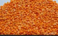 Чечевица красная 500 гр  Red lentils 500 gr